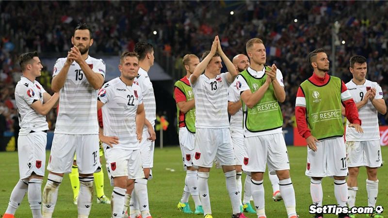 Албания - Норвегия прогноз: Кто победит в матче?